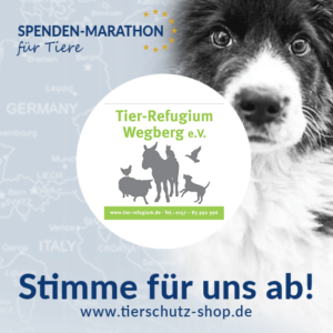 Spendenmarathon fur Tiere Abstimmung Tier Refugium Wegberg 300x300