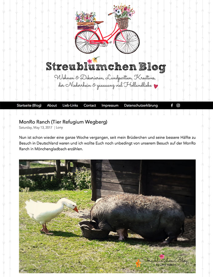 201705 streubluemchenblog