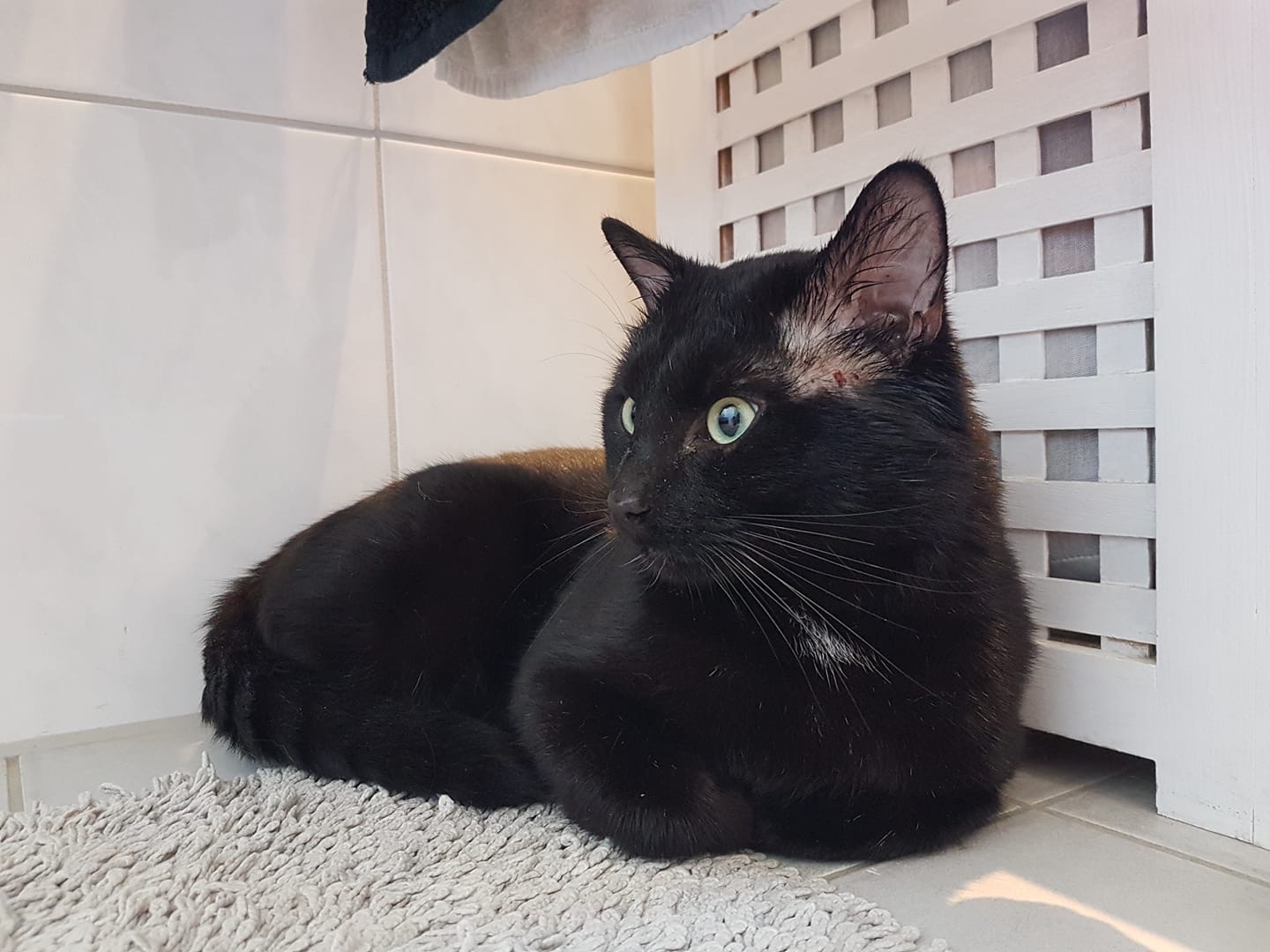 201903 Fundkater